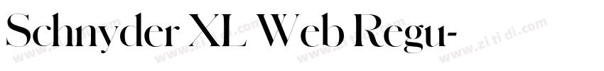 Schnyder XL Web Regu字体转换